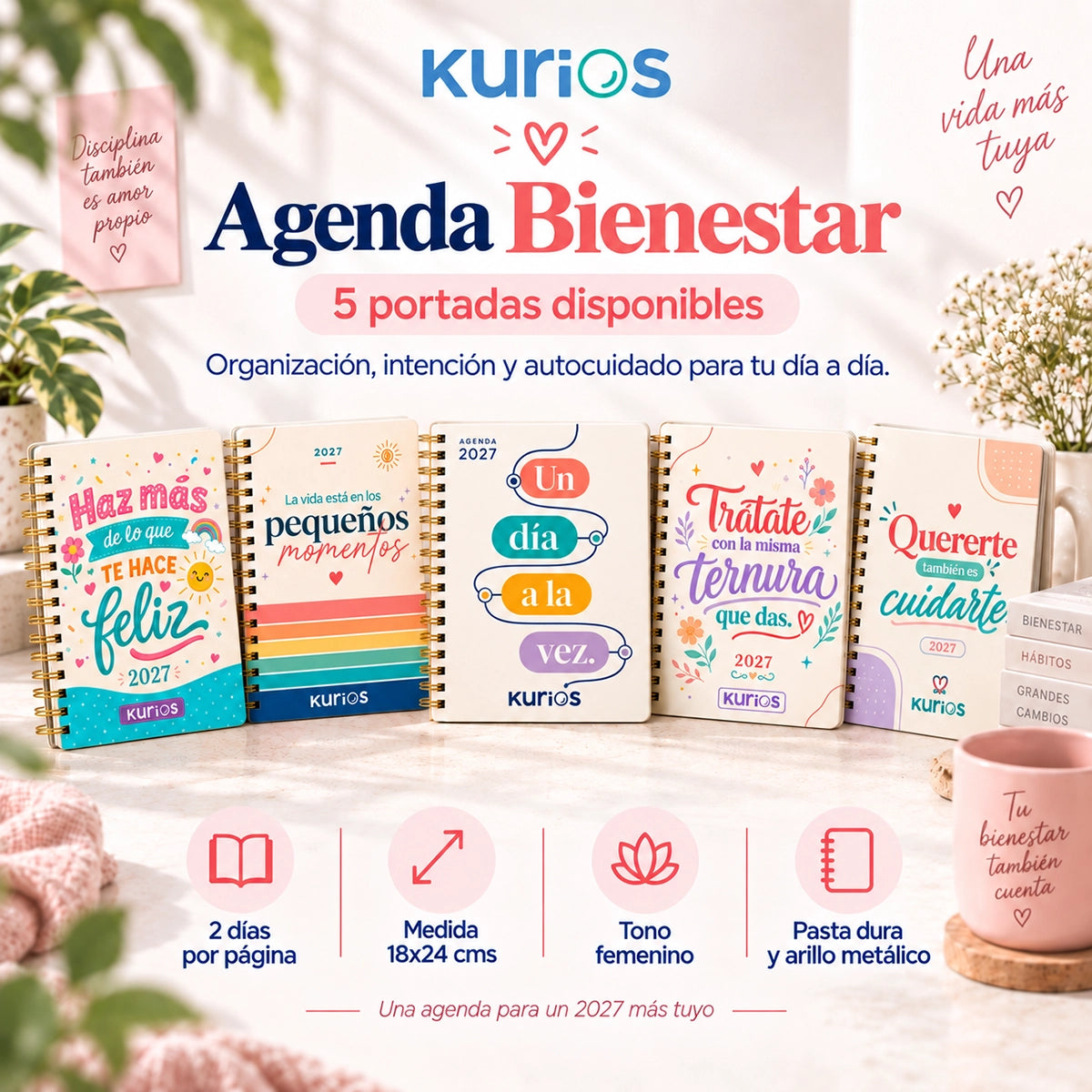 Paquete Para Compartir